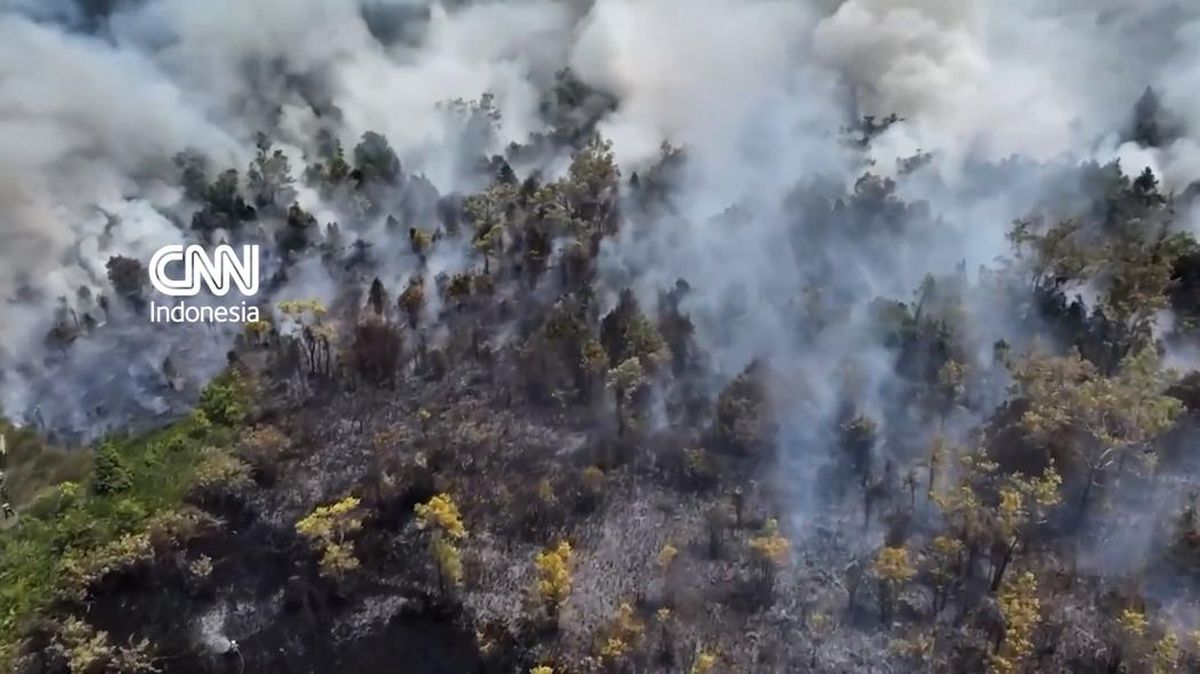 Prabowo Orders Mass Production of Cassava Flour Technology to Extinguish Forest Fires