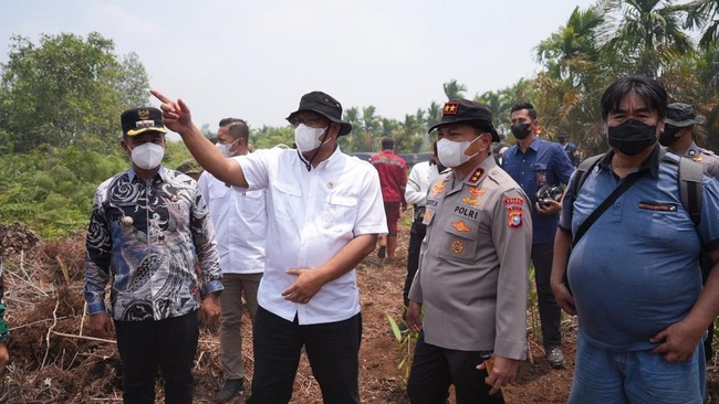 On Forest Fires, Environment Minister Jumhur Affirms Readiness to Impose Sanctions Up to Criminal Charges