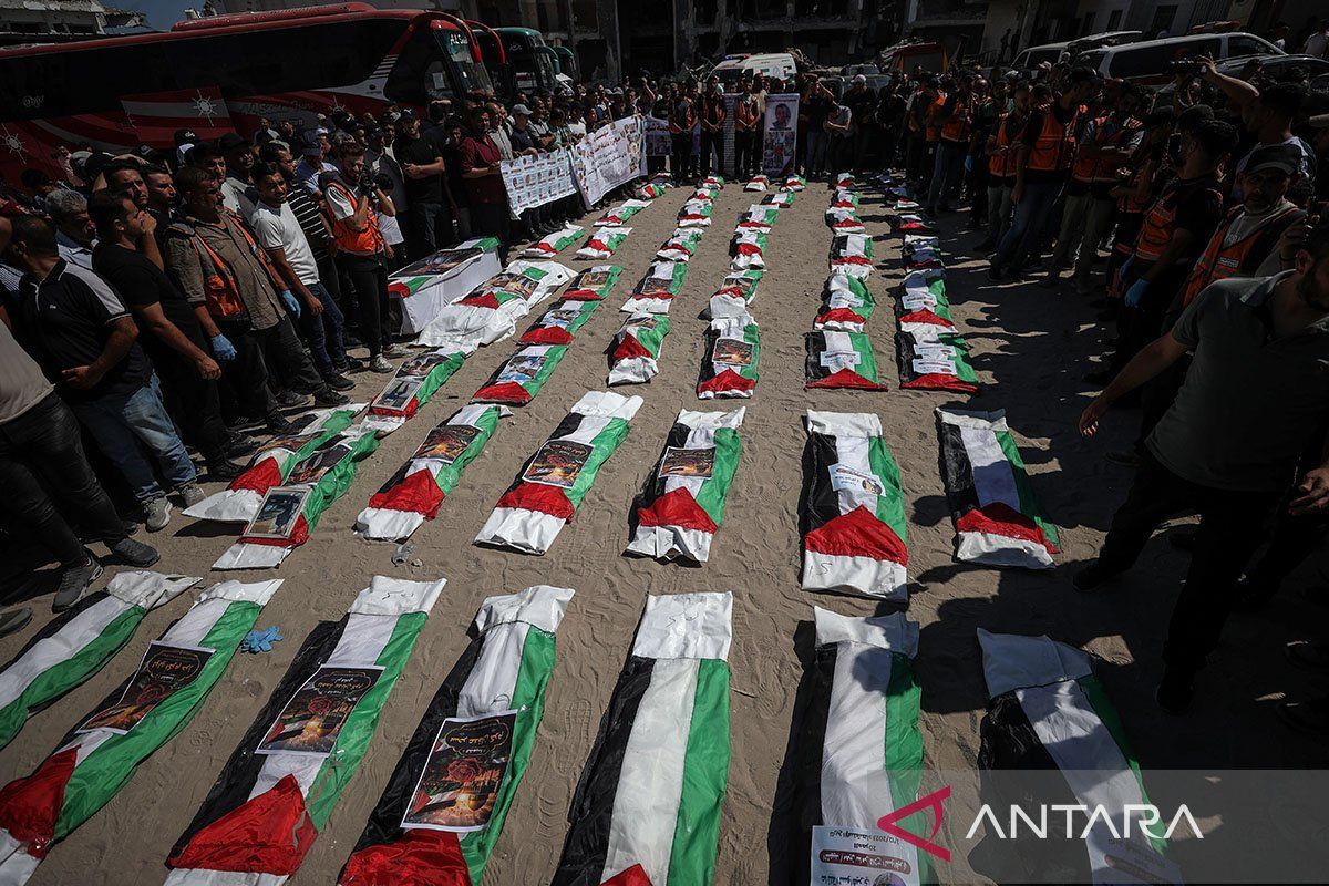 UN calls for international protection for Palestine