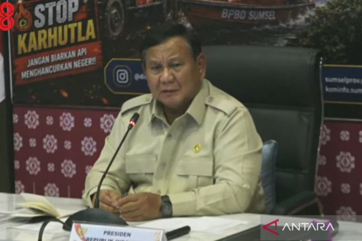 Prabowo pushes cassava flour innovation to extinguish forest fires