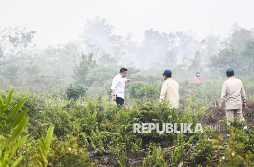 West Kalimantan Hotspots Decline, Forestry Minister: Not Necessarily Safe from Haze