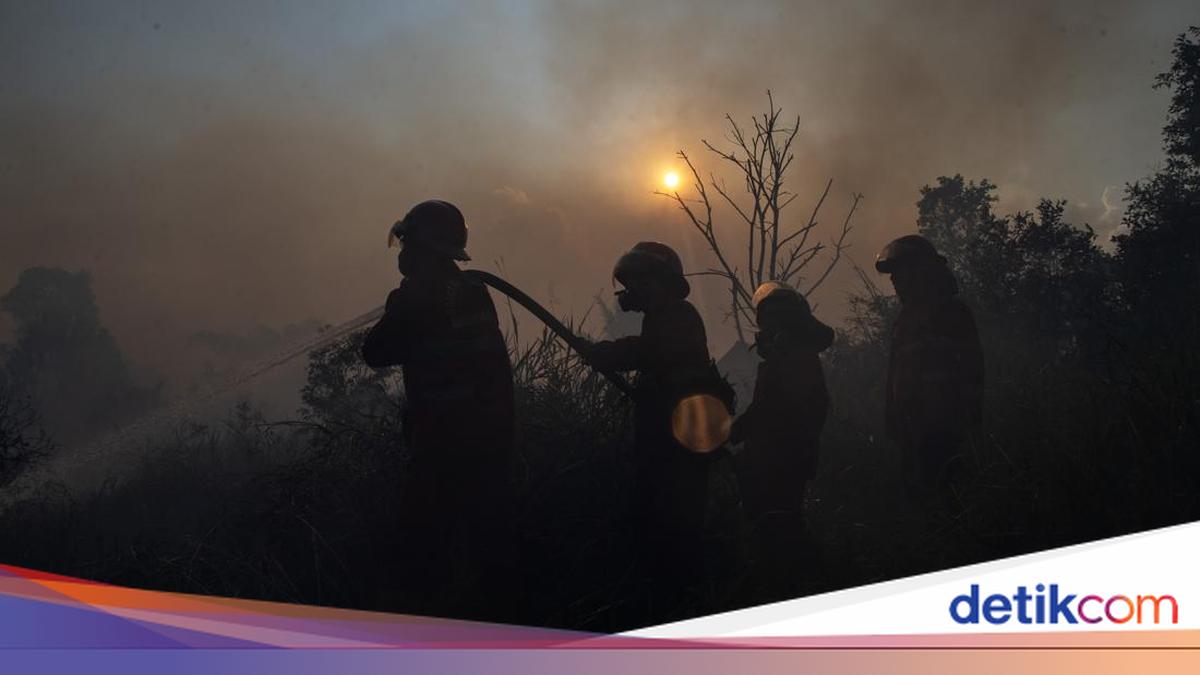 Prabowo Approves Additional 500 Boreholes and 500 PPE Sets for South Sumatra Forest Fire Response
