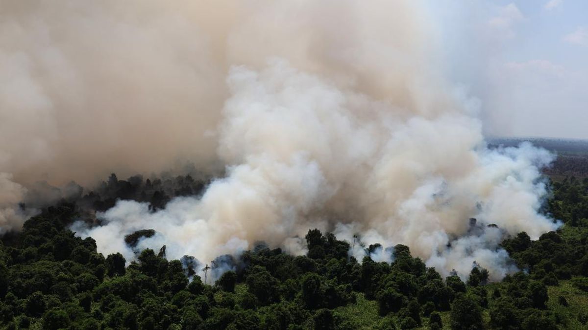 Forestry Minister Claims West Kalimantan Hotspots Down to 28, Smoke Persists