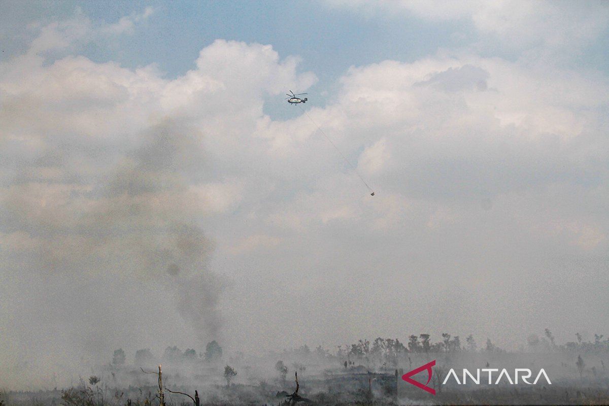 Indonesia intensifies forest firefighting in four provinces