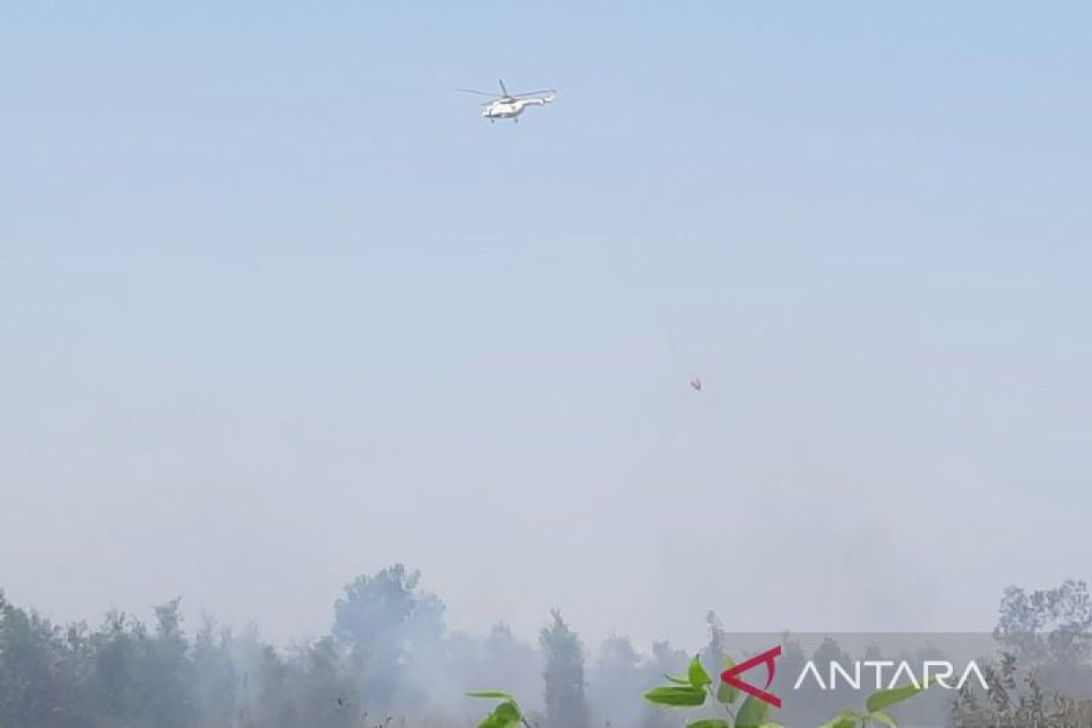 BNPB operates four water bombing helicopters to tackle forest and land fires in South Kalimantan