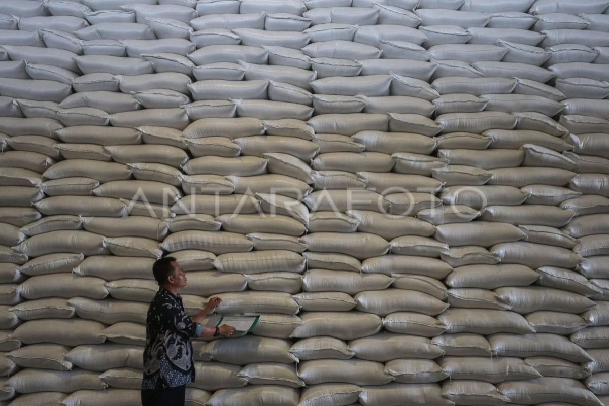 Bulog absorption seen as key to maintaining grain prices amid rice surplus