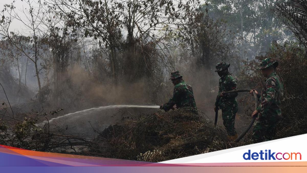 BMKG: Wind Carries Kalimantan Forest Fire Smoke to Neighbouring Countries