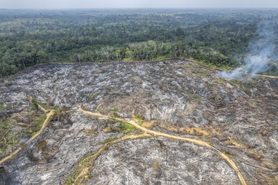 Forest and Land Fires Hit Timpeh, Dharmasraya