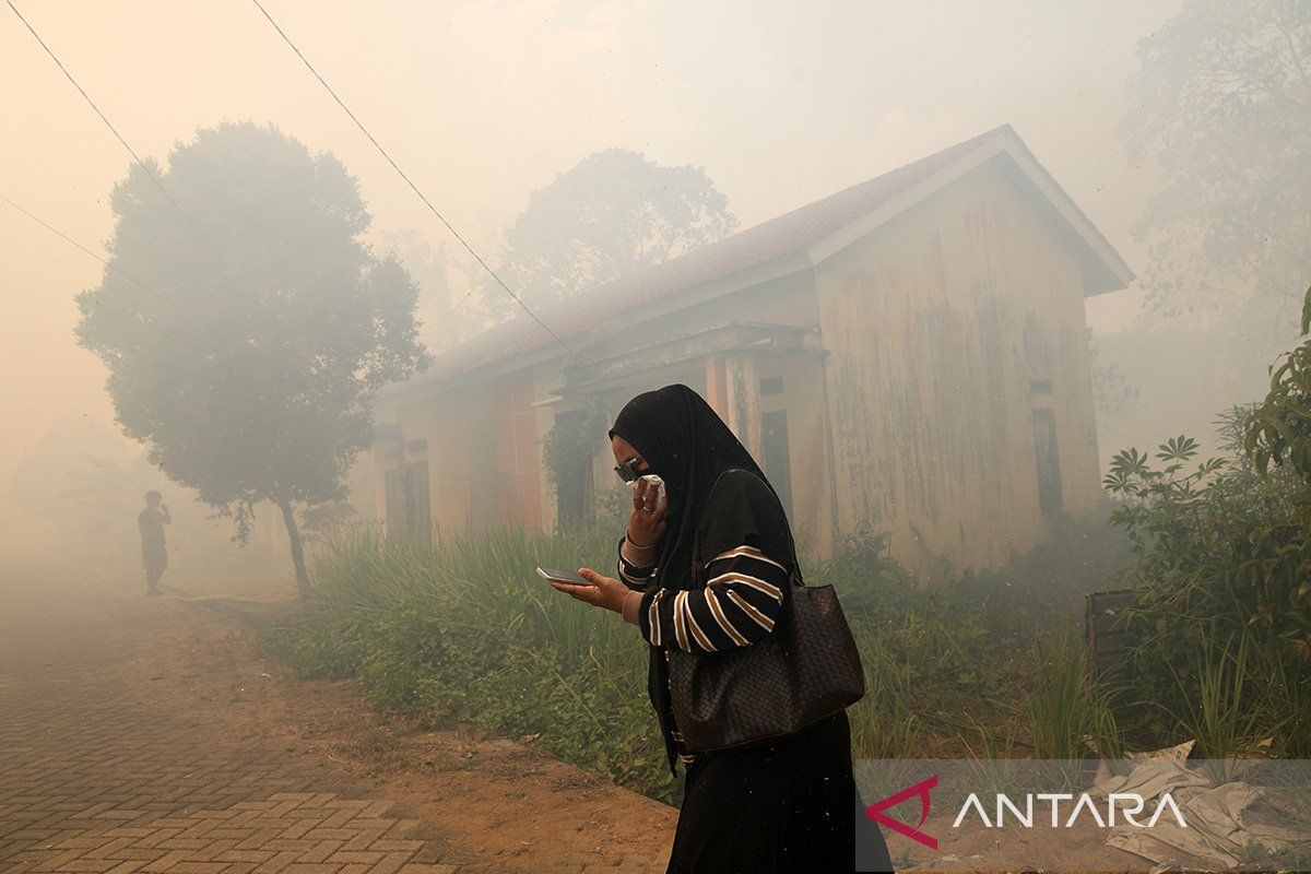 Indonesia probes 11 companies over South Kalimantan fires