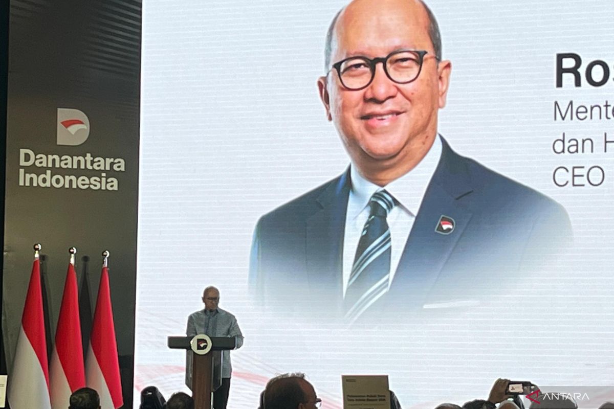 Rosan says DSI builds strong verification of export data flows