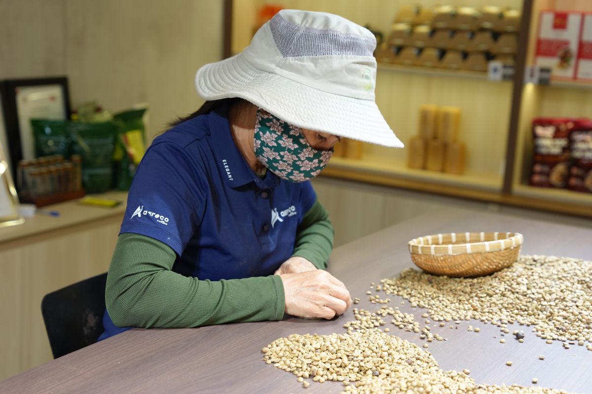 Vietnam tightens regulations on migrant workers going abroad