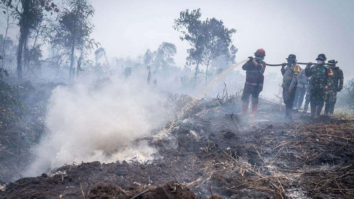 TNI Deploys 3 Territorial Development Battalions to Tackle West Kalimantan Forest Fires