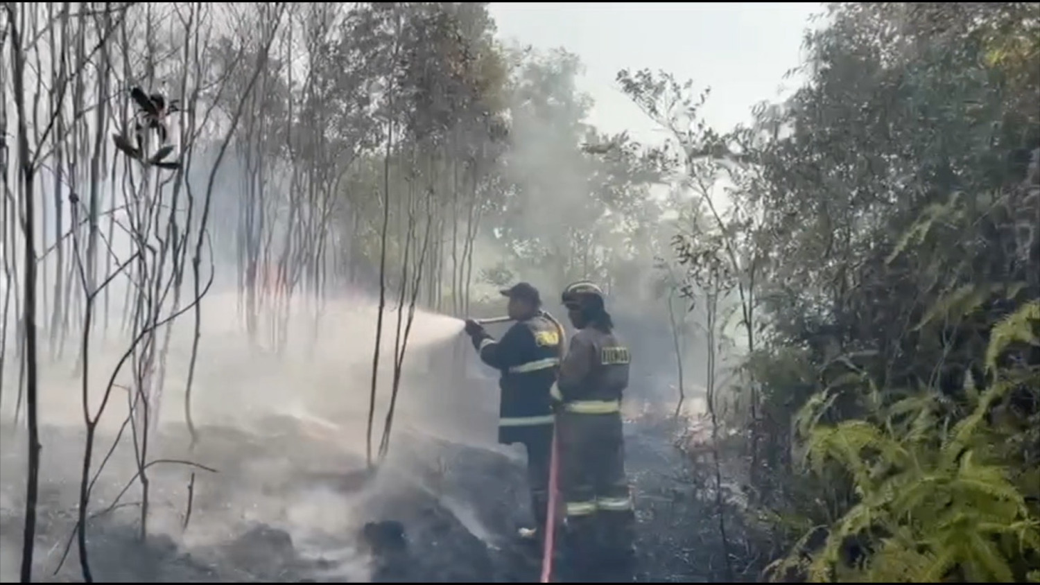 Forest fire haze affects visibility, BMKG Batam: do not burn land