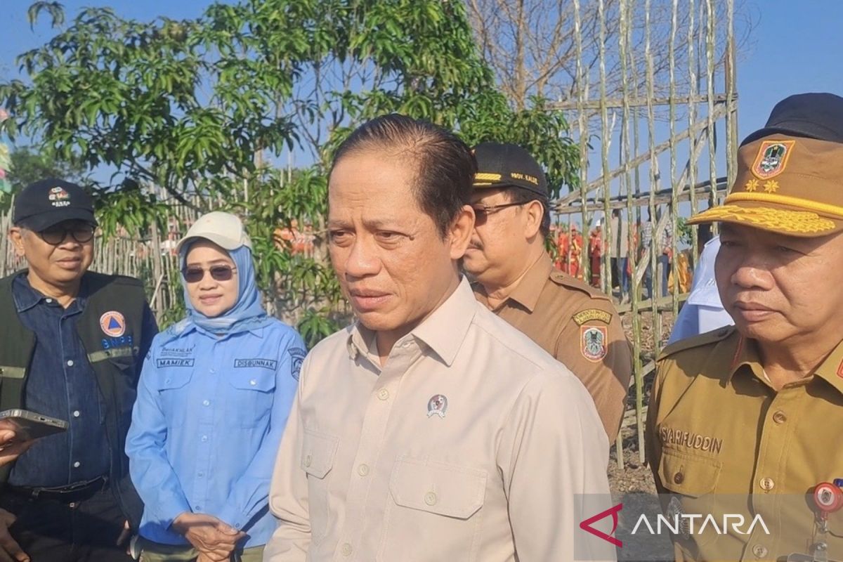 Food Deputy Minister: Thousands of personnel tackle forest fires in three South Kalimantan areas