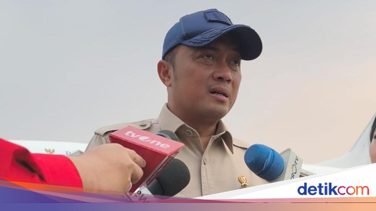 State Secretary: Forest and Land Fire Handling in 4 Sumatran Provinces Under Control