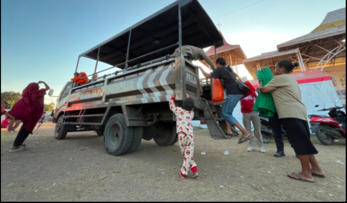 237 Sikka Earthquake Survivors Return Home, BNPB Accelerates Recovery