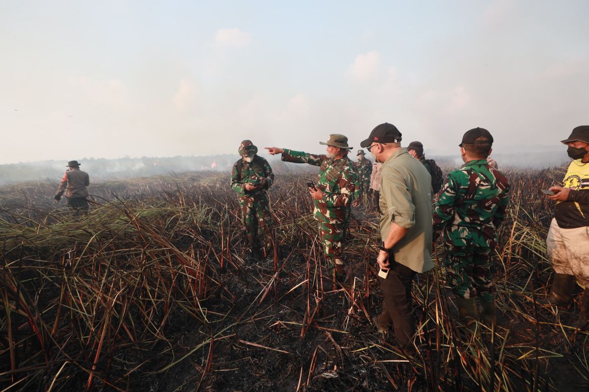 TNI's Alfa Team deployed to extinguish forest and land fires in Way Kambas