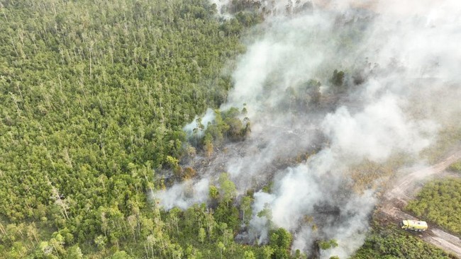 Not Just El Nino: The Causes Behind Indonesia's Recurring Forest Fires