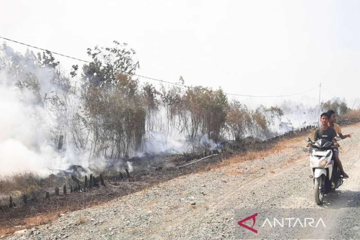 Expert: Haze is a silent killer that claims lives