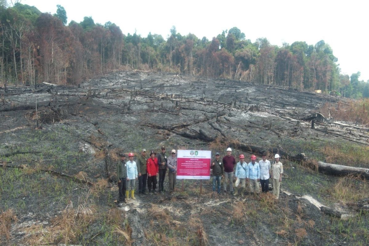 Recurring forest fires: Ministry of Forestry suspends PT MPK's licence