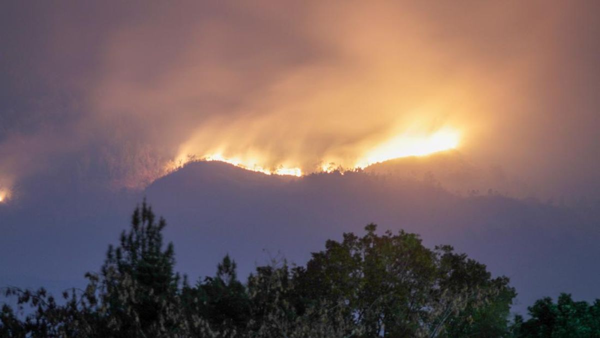Arjuno-Welirang Fire Reaches 146 Hectares