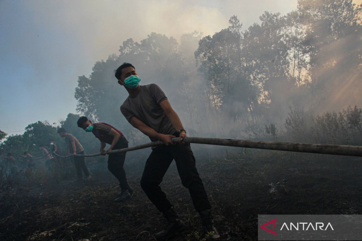Indonesia targets 30 companies over forest fires, seeks fines