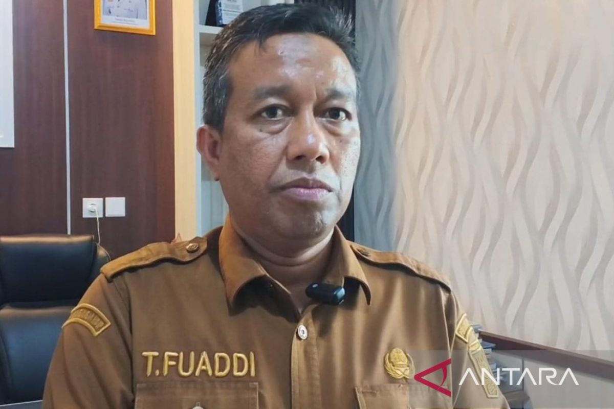 Several West Sumatra border areas affected by haze from neighbouring provinces' forest fires