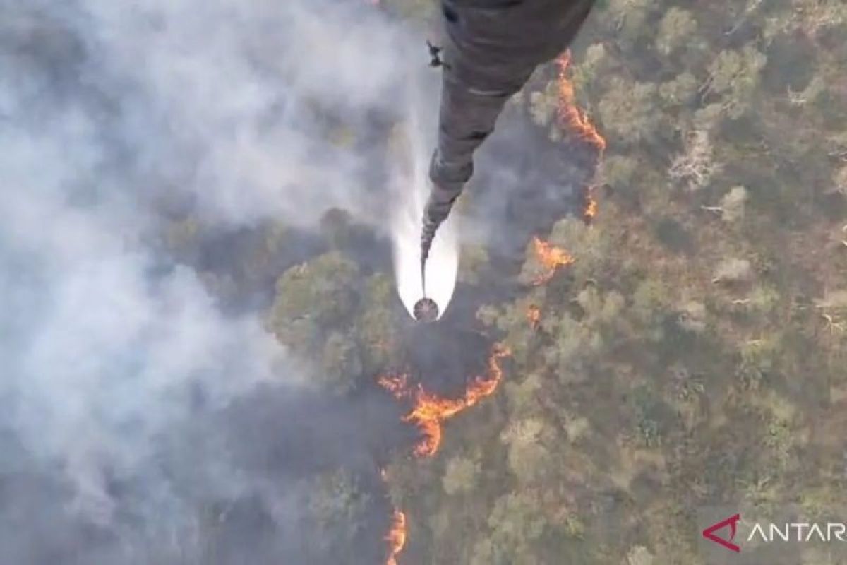 Indonesia issues 35 permits for foreign firefighting aircraft