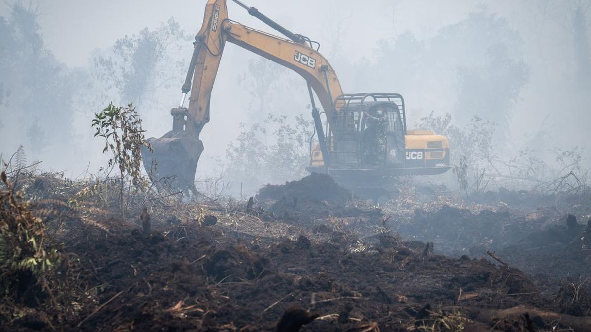 Hanura Urges Firm Sanctions for Forest Fire Perpetrators, Highlights Smoke Reaching Malaysia