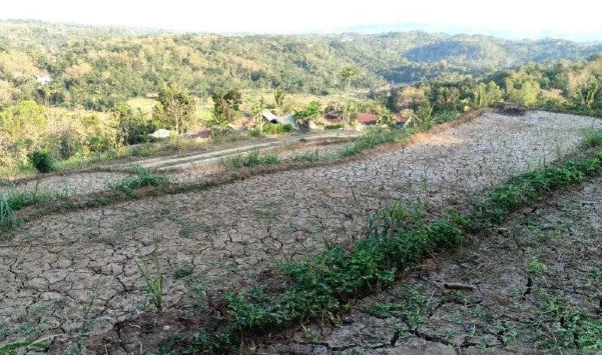 Three Palembang Sub-districts Face Clean Water Crisis Due to Prolonged Dry Season