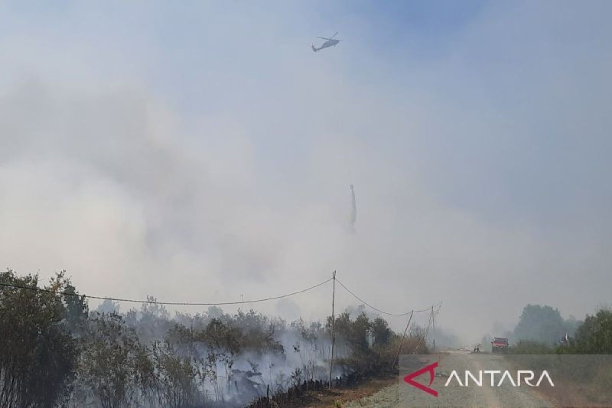 Yesterday: Aid for NTT schools to sanctions related to forest fires