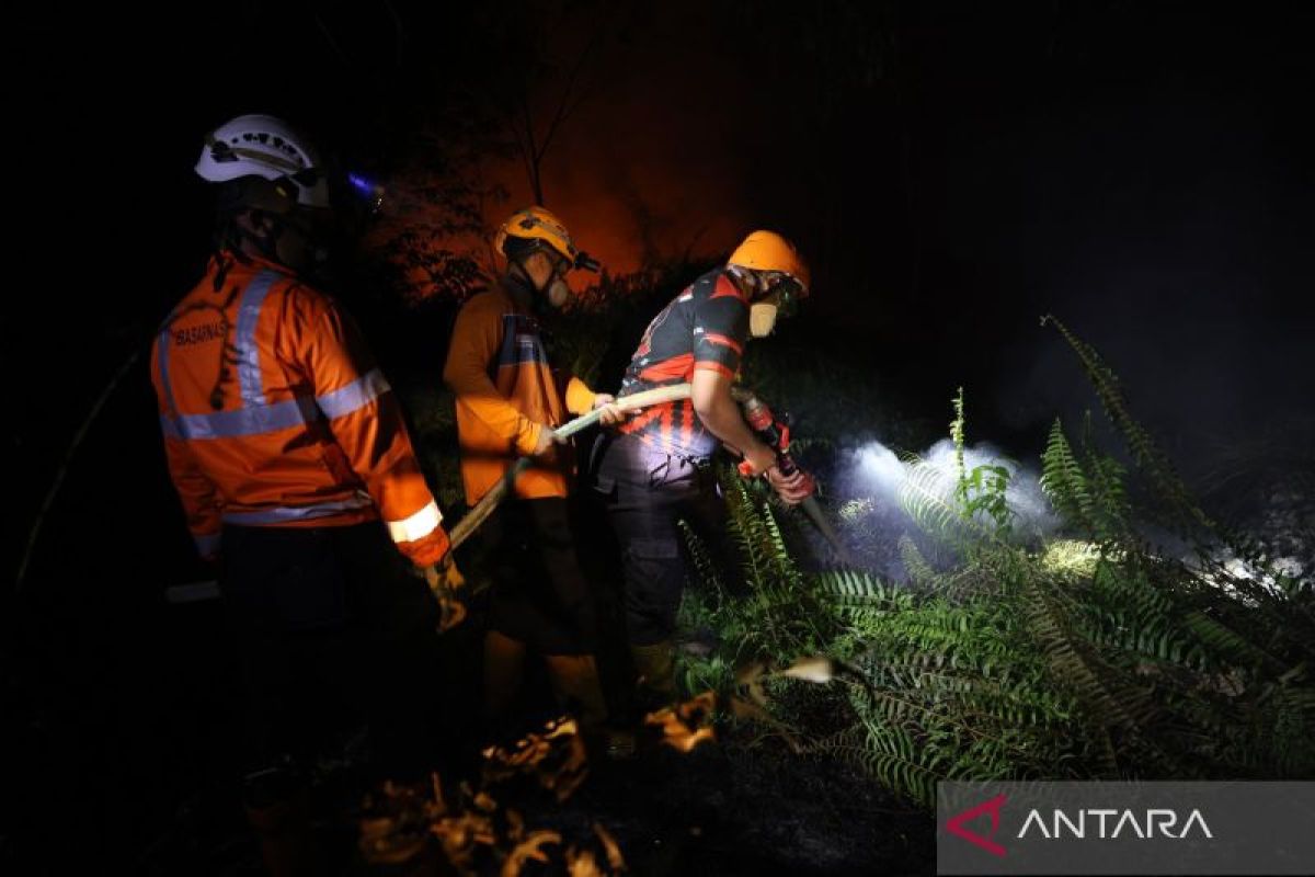 Dry season and forest fires: Why does land burn more easily?