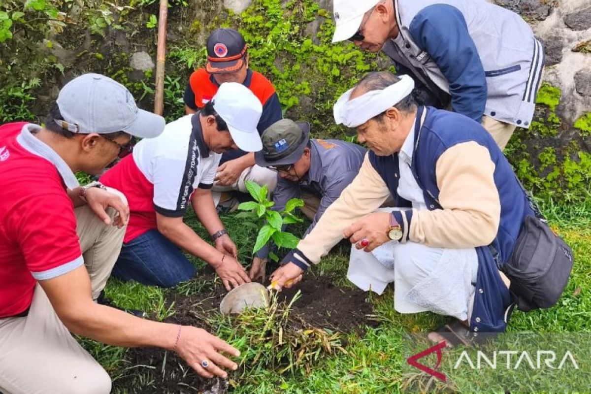 Forests burned: Is reforestation or greening needed? Here's the difference