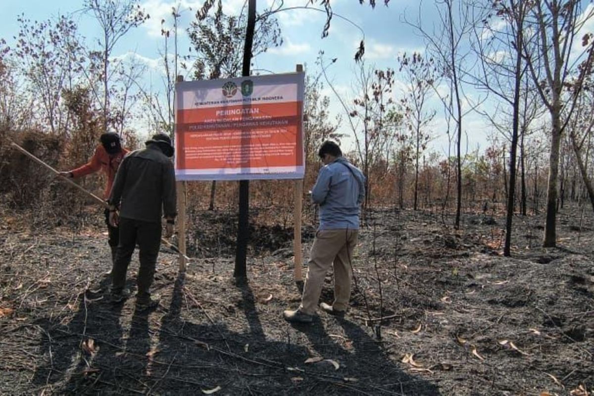 Forestry Ministry sanctions six companies over recurring forest fires in Kalimantan