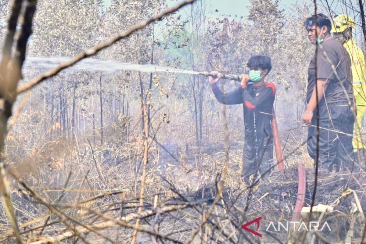 Ministry of Forestry: PBPH holders must take extra measures to tackle forest and land fires
