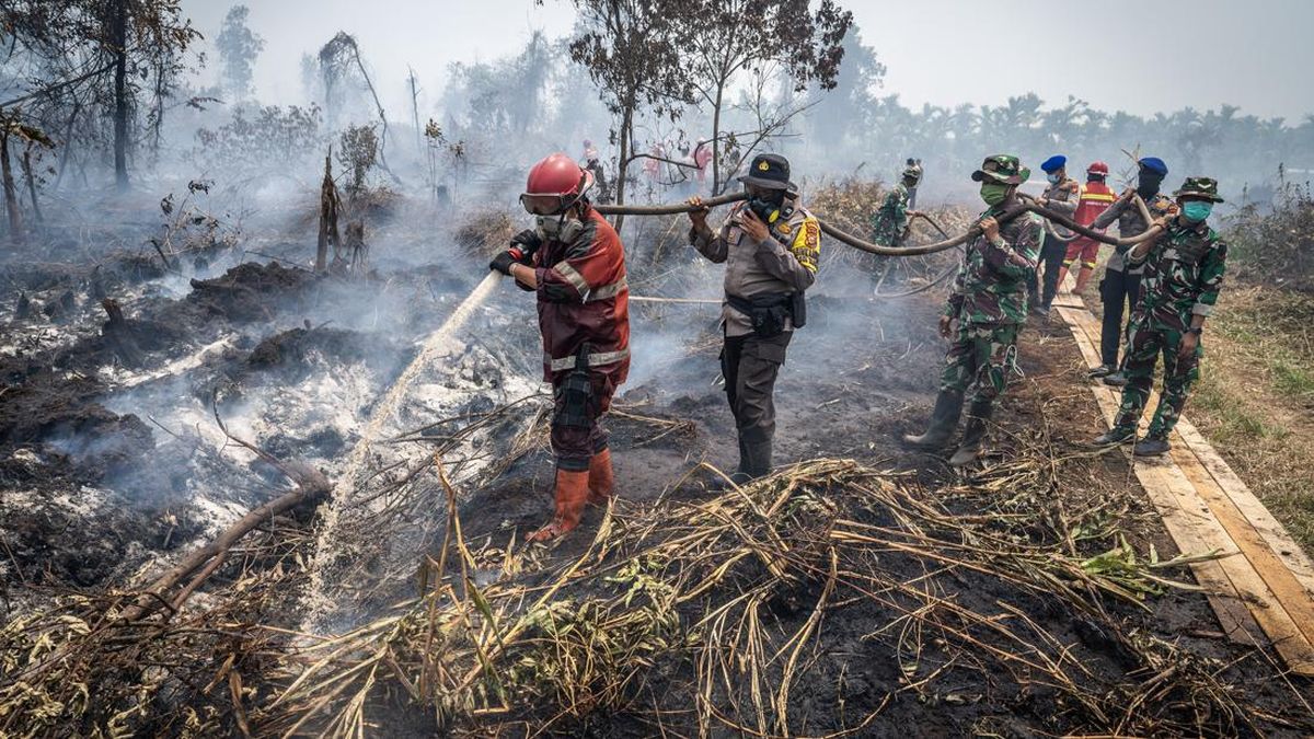 Latest Update on Forest and Land Fires Across Indonesia