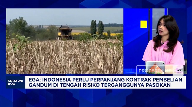 Video: Still Dependent on Wheat Imports in Wartime, What Must Indonesia Do?