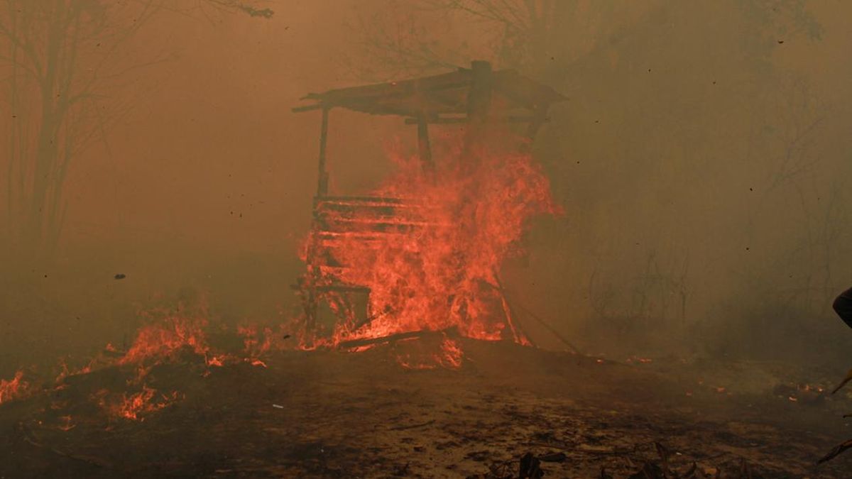 BMKG Launches Weather Modification Operation to Tackle Forest and Land Fires in East Kalimantan