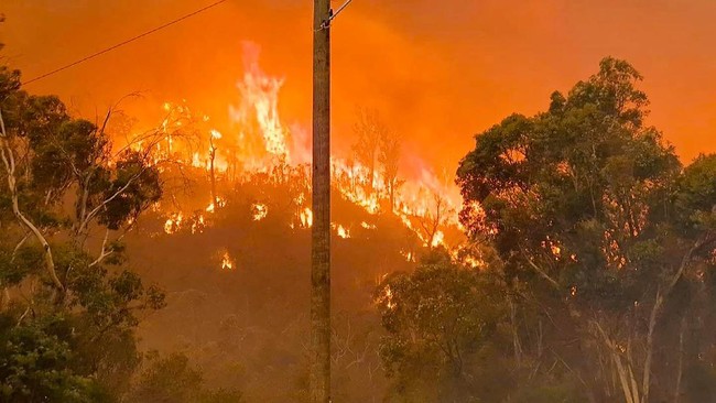 8 Largest Forest Fires in World History, Is Indonesia Among Them?