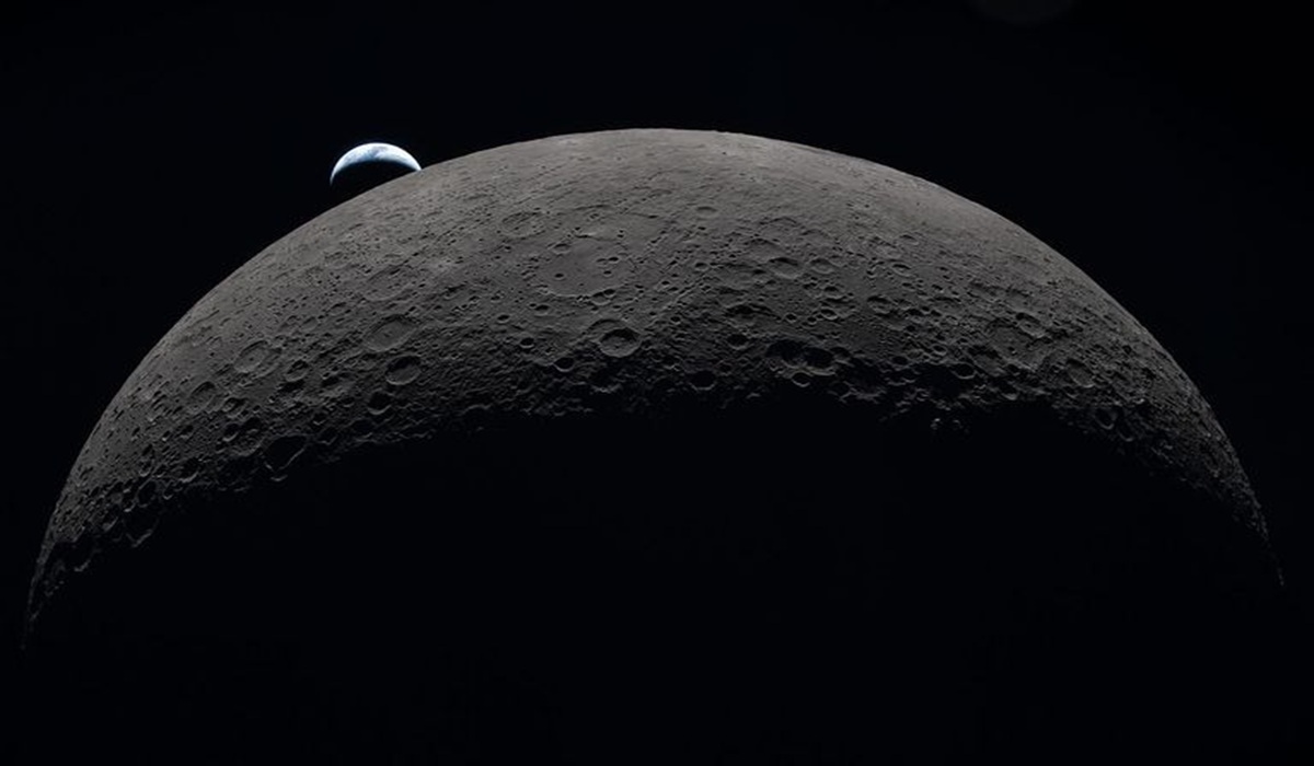 Earth Microbes Potentially Able to Survive at the Moon's South Pole
