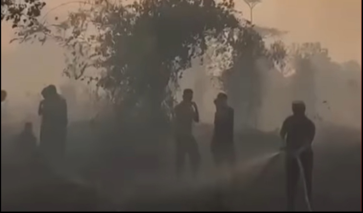 232 Forest and Land Fires in Central Java, Up 700 Percent