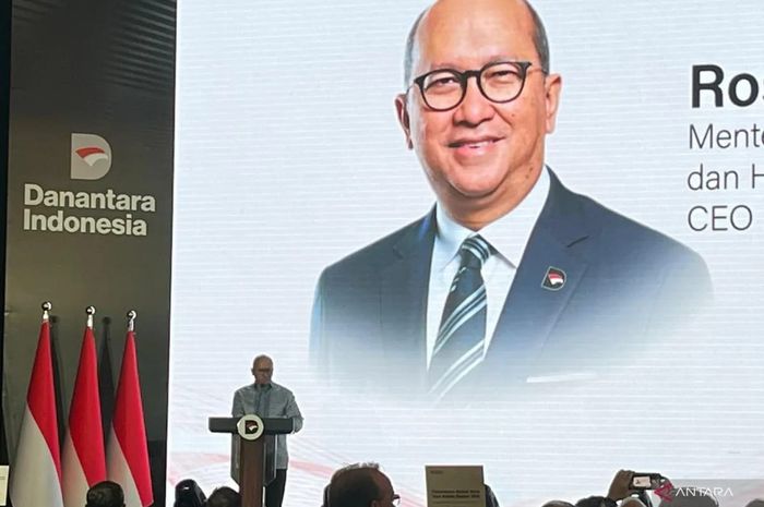 Rosan: DSI Strengthens Export Data and Transaction Verification System