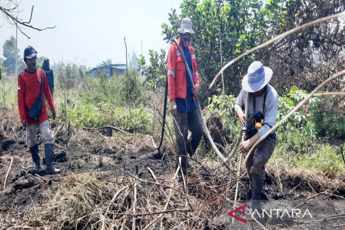 Ministry of Forestry focuses on wetting peatland in Ring 1 of Syamsudin Noor Airport, South Kalimantan
