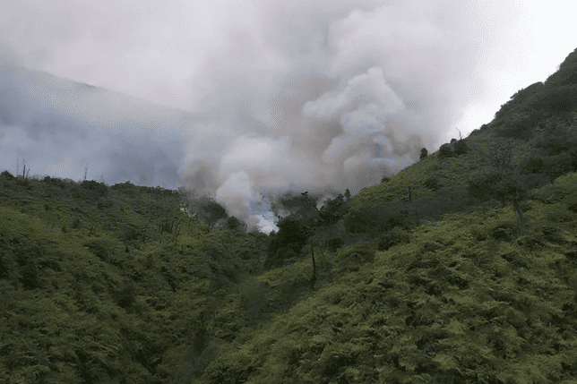 West Java Forest and Land Fires August 2026: 196 Hectares Burned in 132 Locations