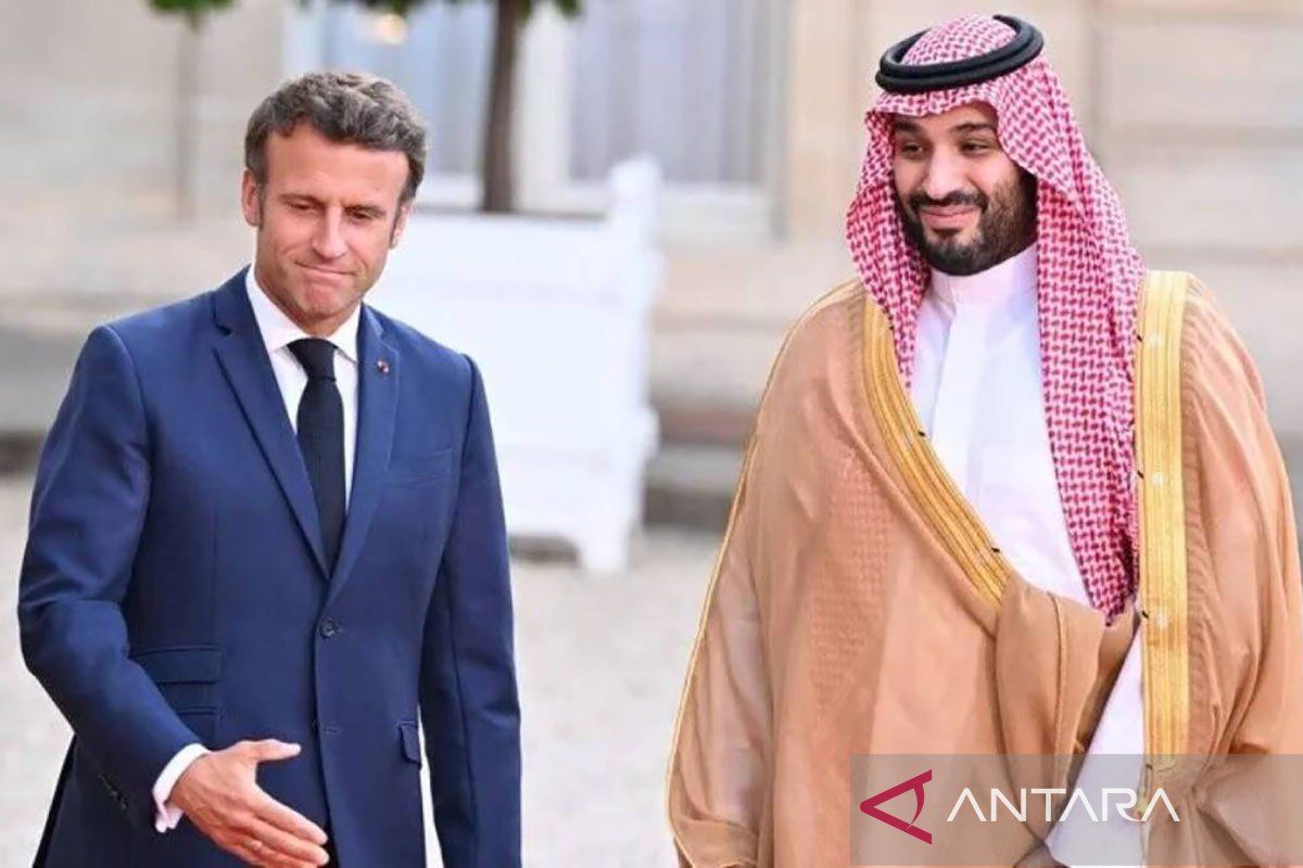 Saudi Arabia and France discuss strengthening AlUla development cooperation