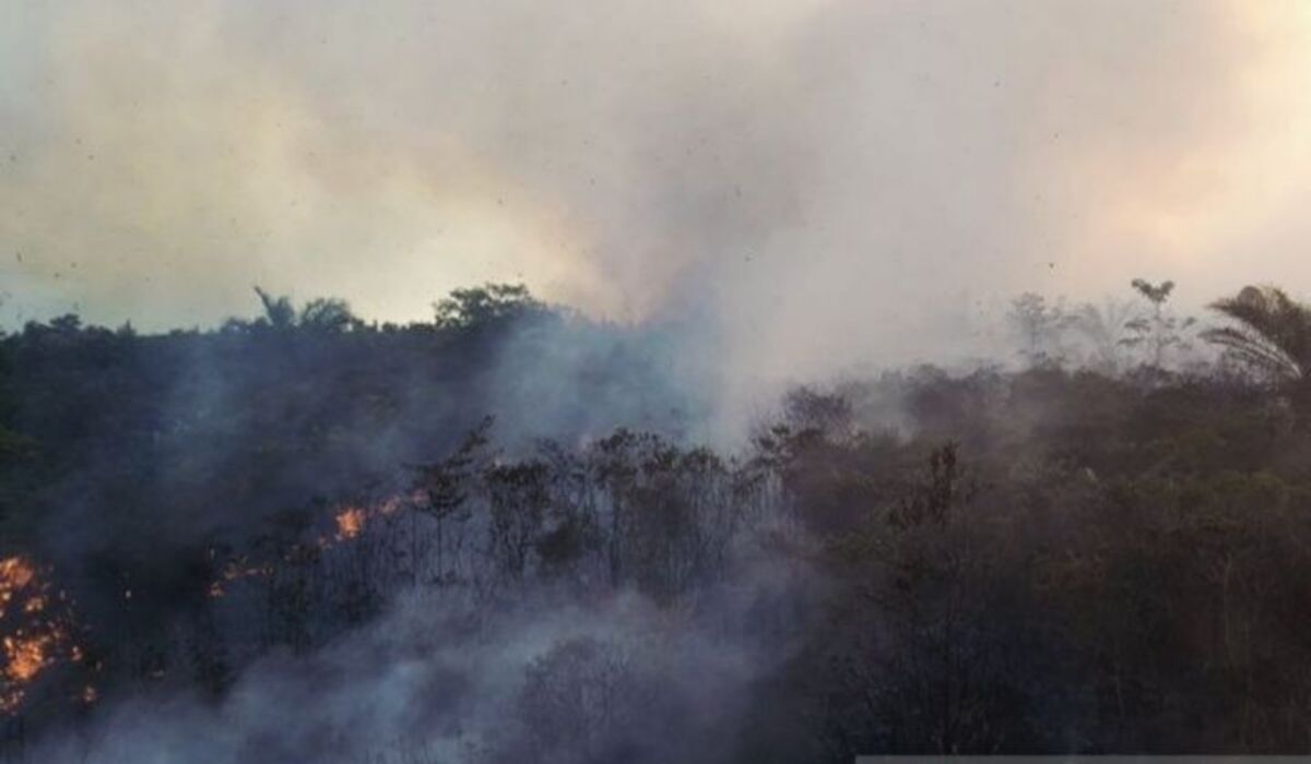 West Kalimantan Forest Fires: Joint Team Intensifies Extinguishing Efforts in South Singkawang