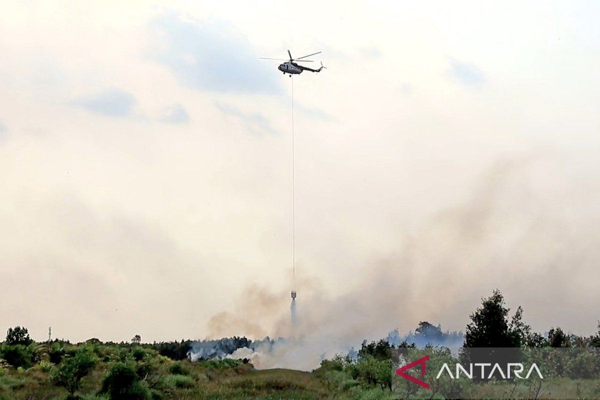 Indonesian Air Force air operations accelerate forest and land fire suppression in South Kalimantan's Ring 1
