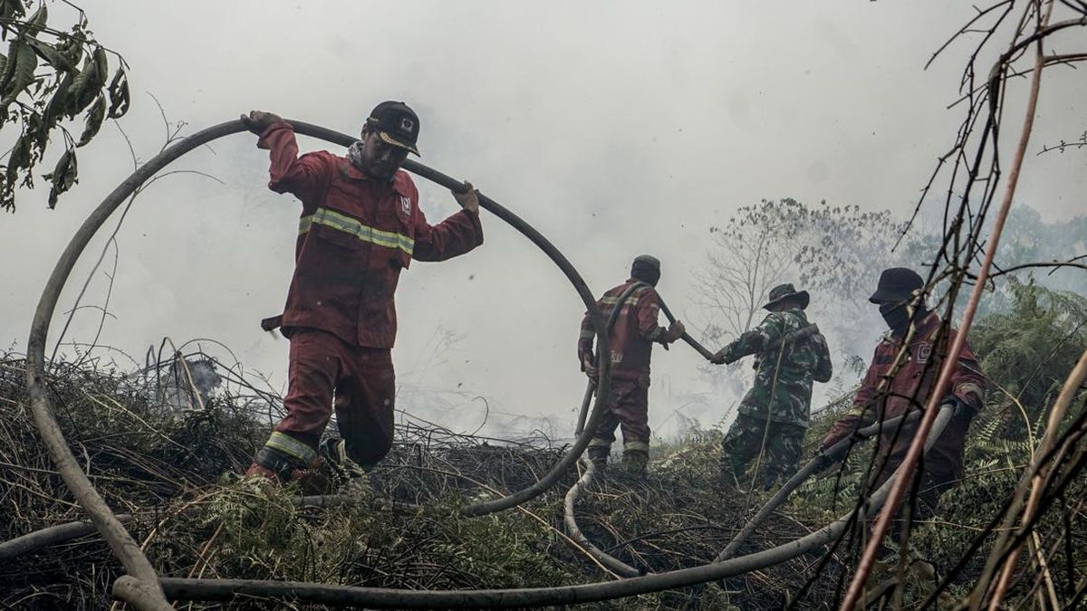 Arjuno-Welirang Forest Fire Reignites After Being Declared Extinguished