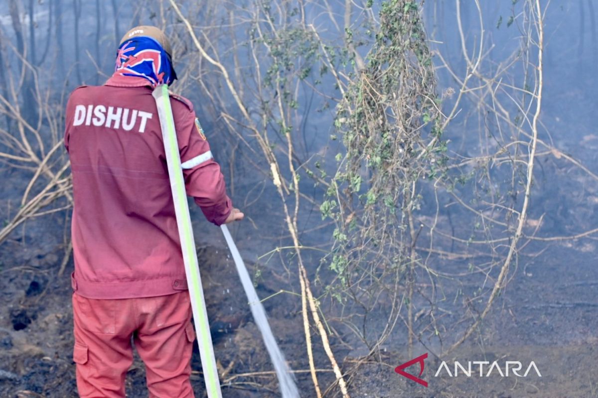 South Kalimantan Forestry Service deploys 150 personnel to prevent forest fires in protected forest