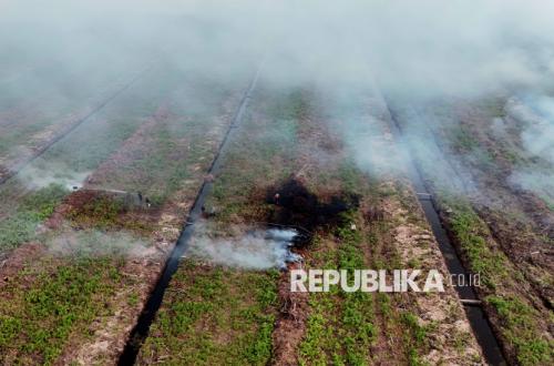 Experts: Peatland Fire Prevention Must Be Science-Based